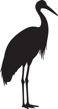 Sarus Crane Vector Silhouette