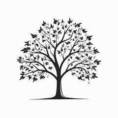 Obraz premium Black tree vector silhouette illustration design nature plant art graphic background isolated leaf branch