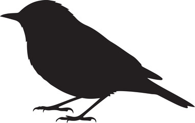 Warbler Vector Silhouette