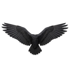Naklejka premium Powerful black bird wings depicted in full spread, highlighting the intricate details of feathers and movement.