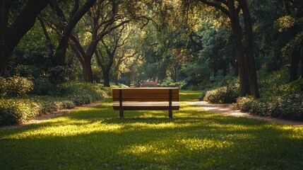 Fototapeta premium Tranquil park scene: empty bench among lush green trees in sunlit forest pathway