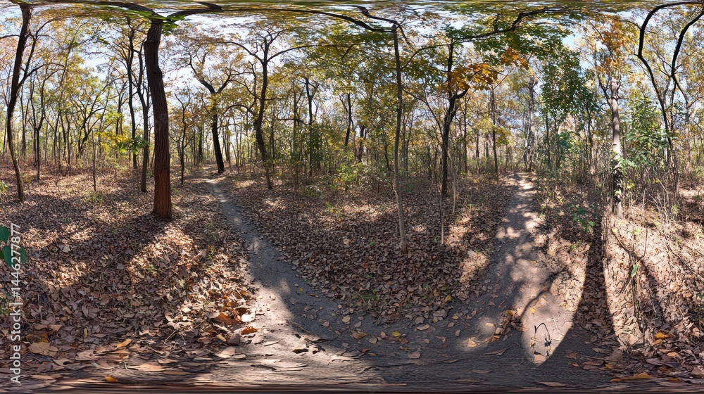 Poster a panoramic view shows a tranquil forest path in autumn