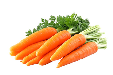Fresh Orange Carrots with Green Tops Healthy Vegetable Produce Image