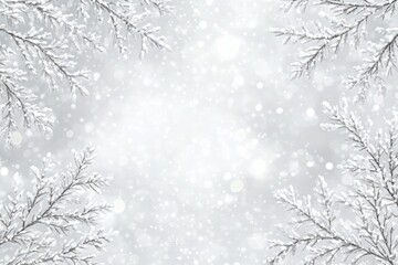 Snowy Branches Icy Silver Tree Limbs on Bokeh Light Gray Background