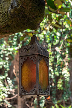 luz, lampara, quinque, aparearse, t&eacute;, madera, viejo, beber, naturaleza, copa