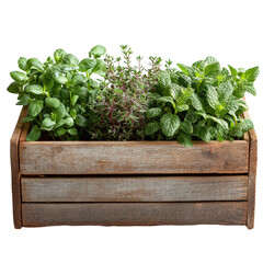 Growing fresh herbs in wooden planter box home garden nature scene isolated on transparent background