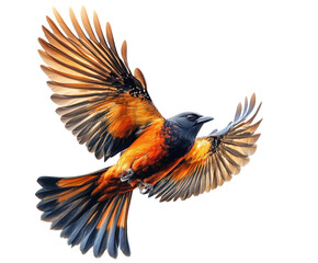 Obraz premium Majestic bird in flight nature scene wildlife colorful isolated on transparent background