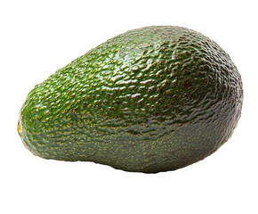 Harvesting fresh avocados farm food isolated on transparent background