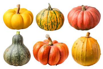 Colorful Pumpkins Autumn Harvest Delightful Variety