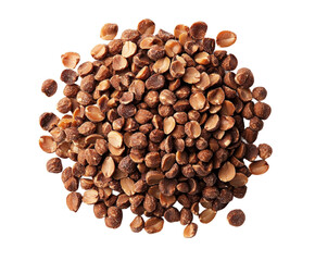 Harvesting cacao beans tropical farm food outdoors isolated on transparent background