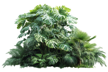 Lush Tropical Paradise Vibrant Green Foliage Tranquil Garden Escape