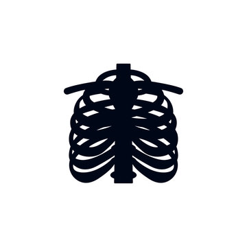 sternum cheast bones vector illustration emoji symbol sign icon flat design