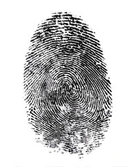Fingerprint Detail Isolated on White Background