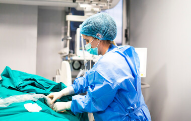 Veterinarian surgeon performing surgery on animal in operating room