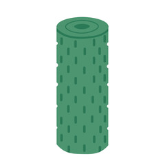 Flat cartoon foam roller for yoga and stretching. Green cylindrical tool for balance, massage and posture.