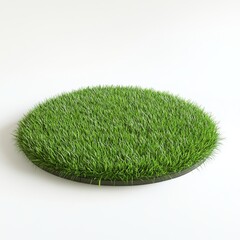 Oval grass patch on white background