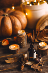 Concept of cozy fall home atmosphere, aromatherapy. Perfume, appartment aroma reed diffuser with autumn scent of pumpkin pie, cinnamon, anise. Room decor with pumpkins, wool plaid, scented candles.