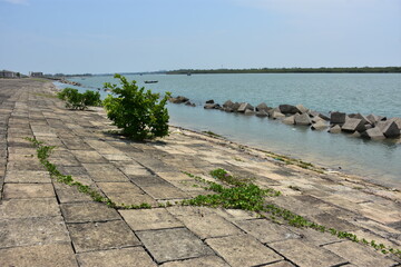 Fototapeta premium Coastal Breakwater Scene at Bakkhali River: Submerged Concrete Barriers with Stone-Paved Foreground and a Lone Green Plant under a Clear Sky in Cox’s Bazar, Bangladesh