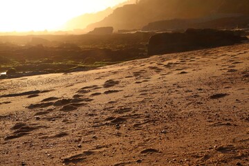 Wild ocean beach. A lonely panorama. A romantic view. Warm rays of light. Footprints in the sand. A colorful picture. A postcard. Wallpaper. Background