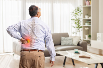 Rear view shot of a mature man holding his spine