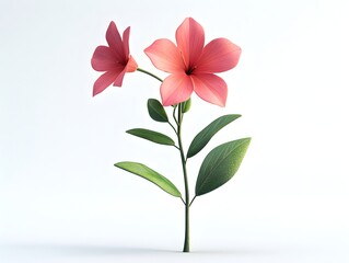 Two delicate coral pink flowers bloom on a slender stem with vibrant green leaves against a bright white background.