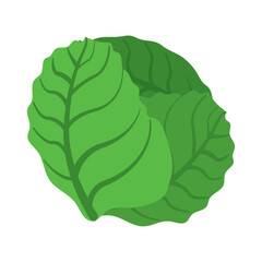 Fototapeta premium Green lettuce leaves icon. Vector