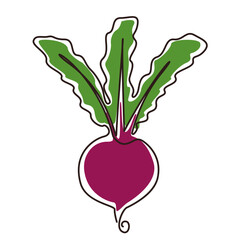 Beetroot flat cartoon icon. Vector