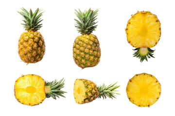 Top-down pineapple crown pattern, no background