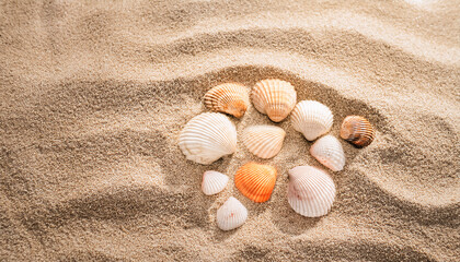 A Flat Lay of Colorful Shells Forming a Circle on Smooth Beach Sand under Bright Sunlight