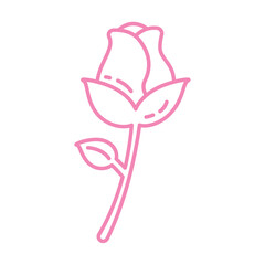 Romantic red rose bloom. Vector