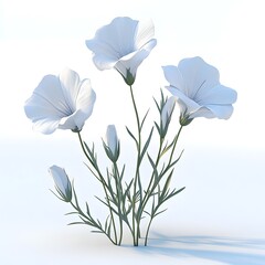 A cluster of pristine white flax flowers with unopened buds gracefully stand against a bright white background.