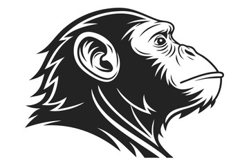 Chimpanzee Face Profile in Black and White, Wildlife Mammal, Animal Portrait Close Up