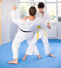 Dynamic underage boy and middle-aged man performing judo techniques in pair during workout session