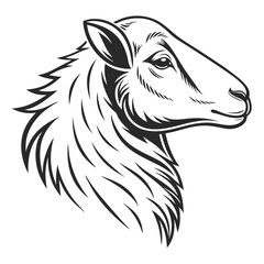 Black & White Sheep Head, Farm Animal Logo, Woolly Mammal Portrait Stock