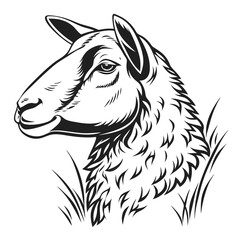 Sheep Head Profile Monochrome Art, Intricate Wool Details, Facing Left, Grasses Around