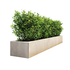 Bushes in planter, garden element isolated on transparent background