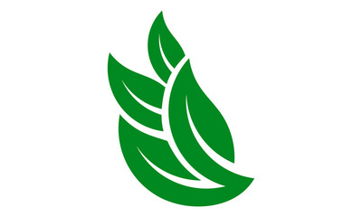 leaf vector logo illustration