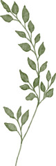 Illustration of Green Leafy Branch