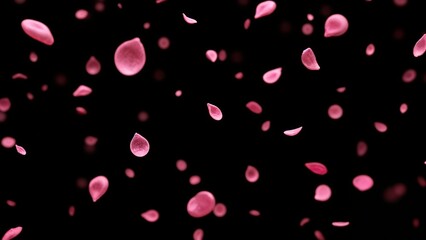 A bunch of pink petals falling down on a black background.