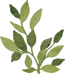 Illustration of Green Leafy Branch