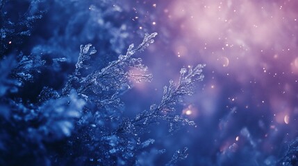 Frozen winter branches illuminated by soft, glowing light.