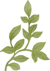 Fototapeta premium Illustration of Green Leafy Branch