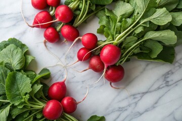 A bunch of radishes are displayed on a marble countertop