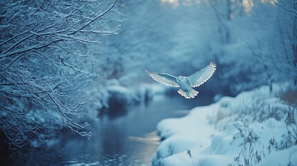 Snowy winter scene with a soaring white owl.