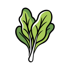 Fresh Spinach Leaves Illustration on White Background  