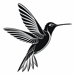 Isolated Black Silhouette of a Hummingbird with Wings Spread on a White Background