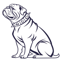 Stylized Bulldog Sitting, Looking Upwards, Sharp Collar and Outline Isolated on White