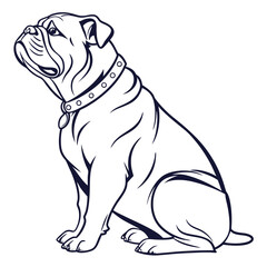 Seated Bulldog Black Outline, White Fill, Detailed Wrinkles, Collar