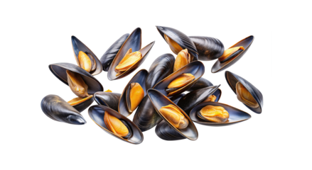 Delicious freshly steamed mussels isolated on transparent background, a seafood delicacy