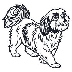 Cute Shih Tzu Dog Outline, Black and White Design, Isolated on White